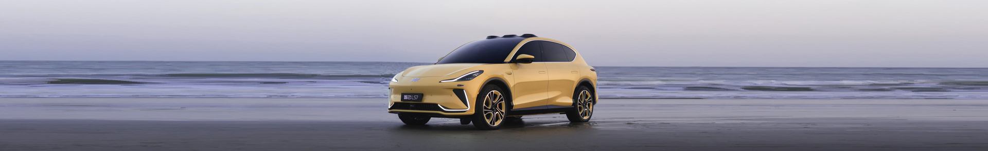 IM Motors banner2