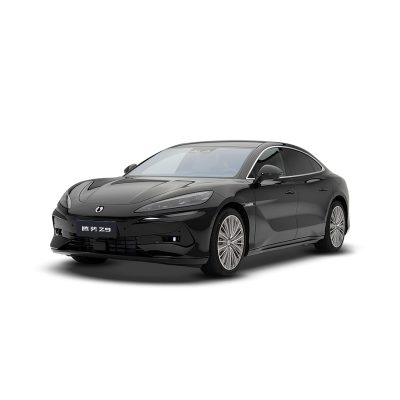 Denza Z9 DM