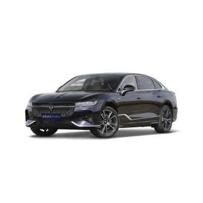 Voyah Passion PHEV