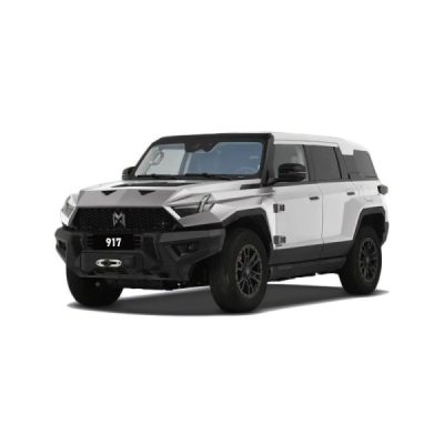 Dongfeng M-Hero 917